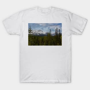 850_5247 T-Shirt